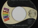 Funk/Deep Soul 45 - Black Exotics - Theme Of Blackbyrds - United - mp3