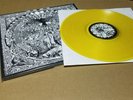 Oi Polloi saorsa LP punk varukers tragedy infest state of fear discharge mob 47