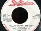 Tony Tuff & Soul Syndicate - Chant Down Babylon JA SS 7