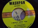 THE TOMANGOES - I REALLY LOVE YOU - WASHPAN - EARY 70ts PRESSING