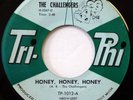 The CHALLENGERS 45 Honey, Honey, Honey / Stay TRI-PHI doo wop VG++ Ws753