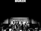 The National BOXER +MP3s Beggars Banquet NEW SEALED Yellow Colored Vinyl LP
