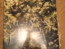 GAS Pop 2x12” Wolfgang Voigt Techno Ambient Dub
