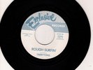 Mod Surf Tittyshaker 45 TARRYTONS Rough Surfin'/Mansion On The Hill HEAR Rare