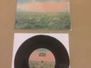 Oasis / Whatever / 7 Inch Vinyl / Numbered / Stone Roses / Blur