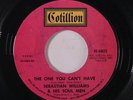 SEBASTIAN WILLIAMS: The One You Can't Have / Shucks 45 Soul