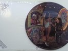 213A	Slaughter	Fly to the Angels	(CHSP 123634)	UK LIMITED PICTURE DISC 12