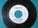Isley Brothers Take Me In Your Arms Both Side Tamla White Promo Label 45 RPM