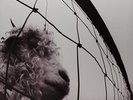 Pearl Jam-Vs  Vinyl / 12