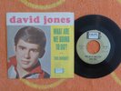 DAVID/DAVY JONES What Are We Going To Do 45 rpm w/ PICTURE SLEEVE Colpix 1965