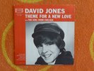 DAVID/DAVY JONES Theme For A New Love 45 rpm PICTURE SLEEVE ONLY Colpix 1965
