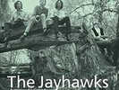 Tomorrow The Green Grass - Jayhawks 602537864300 (Vinyl Used Like New)