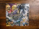 Pig Destroyer ?– Phantom Limb LP VINYL