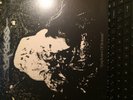 CARCASS - SYMPHONIES OF SICKNESS - Earache records -  original record