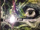 Pendulum Hold Your Colour 12” Vinyl