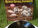 REBECCA & THE SUNNY BROOK FARMERS BIRTH •1969• Acid Archives RARE psych Musicor