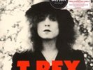 T.Rex-The Slider  Vinyl / 12