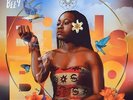 Sampa the Great - Birds & the BEE9