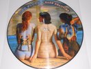 PINK FLOYD Rare Beauties (alternative+live Japan) PICTURE DISC   pSyCh New