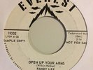 Northern Soul Randy Lee Everest Promo 19332 