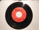 JOE TEX / THE NEXTED TIME SHE'S MINE / MICHELLE / NORTHERN 45 VG+