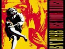 Gun N' Roses,  Use Your Illusion  [Vinyl], double Vinyl
