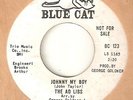 THE AD LIBS Johnny My Boy BLUE CAT PROMO STAFFORD  NORTHERN SOUL 45