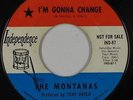Northern Soul 45 - Montanas - I'm Gonna Change - Independence - mp3