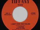 Modern Soul Disco 45 - T. Martone & TNT Band - I Can't Stop - Tiffany - VG++ mp3