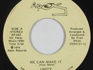 Sweet Soul 45 - Unity - We Can Make It - Apex - VG+ mp3