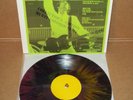 THE WHO 12 DAYS AFTER RARE SPLASH VINYL LP 1979 MULTICOLORED TMOQ TAKRL 50 MADE