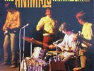 ANIMALS - ANIMALISM - NEAR MINT