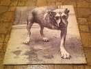 ALICE IN CHAINS - ALICE IN CHAINS 