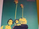 GUN CLUB Miami LP ANIMAL 1982 UK orig JEFFREY LEE PIERCE-CHRIS STEIN-CHRIS D
