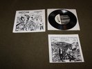 Operation Ivy 7