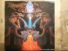 DISMEMBER Like An Ever Flowing Stream first German press LP NB 047 Vinyl Metal