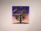 TALK TALK - Laughing Stock - Vinyl (LP)