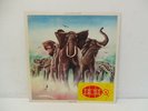 Elvis Costello and the Attractions - Armed Forces Vinyl LP 1979 - RAD 14