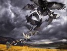 David Gilmour-Rattle That Lock  Vinyl / 12