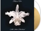 Kings of Leon “Aha Shake Heartbreak