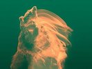 TEMPERANCE MOVEMENT WHITE BEAR LP VINYL BRAND NEW 33RPM