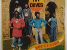 Doves 