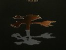 U2 - The Joshua Tree Tour Book 2017 Anton Corbijn u. a