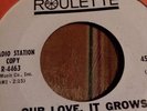 NORTHERN SOUL 45 RPM RECORD - MYRNA MARCH - ROULETTE 4463 - PROMO