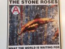 Stone Roses - What the word is waiting.. / Fools gold (9:53)  Ltd UK 12