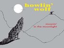 HOWLIN WOLF Moanin In The Moonlight LP Vinyl BRAND NEW 2017