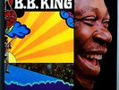 B.B. KING COMPLETELY WELL RARE ORIG '69 BLUESWAY LP BLUES MILESTONE BEAUTIFUL
