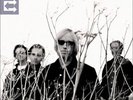 Tom Petty: Echo (2LPs)