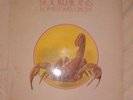 ? SCORPIONS 