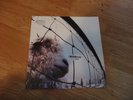 Pearl Jam: Vs. (Remastered) (180GV) LP